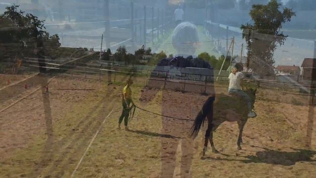 Конный спорт для детей. Сколько стоит, где заниматься, что даёт. Видео с тренировки. смотреть онлайн