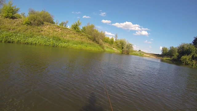 Ловля жереха