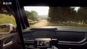 Moza R5 | Dirt Rally 2.0 Settings