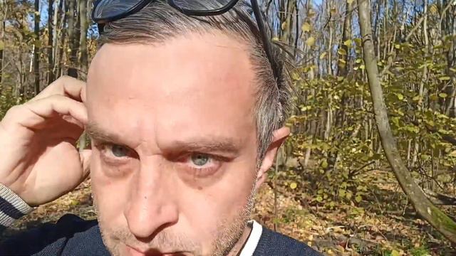 БУХГАЛТЕР С БОКСЁРОМ В ОСЕННЕМ ЛЕСУ • ДОБРО ПОЖАЛОВАТЬ НА ПОЭТИЧЕСКИЙ СТРИМ • МУЗЫКАЛЬНЫЕ НАПУТСТВИ смотреть онлайн
