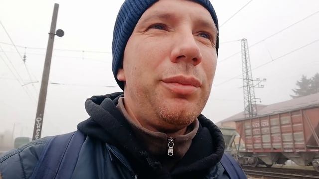 Предъяву картофельному лосю от посла ФРГ! #беларусь #бчб смотреть онлайн