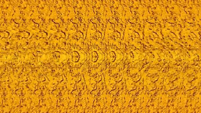 Движущаяся стереокартинка для ваших глаз смотреть онлайн