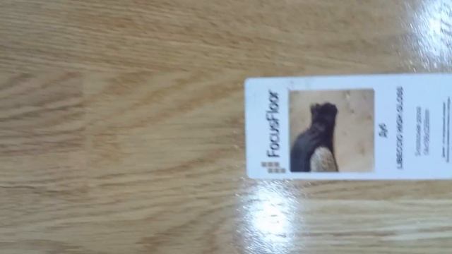 Паркетная доска Фокус Флор Дуб Либецио Глянцевый 3х полосный смотреть онлайн
