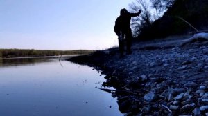 Рыбалка на резинку с берега на Дону весной, ловля карася, рыбалка на Дону 2020