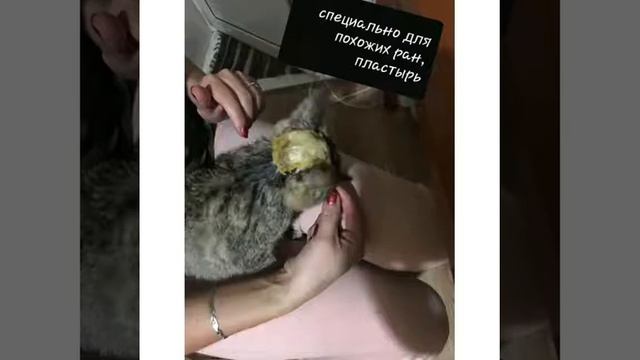 Просто не смогла пройти мимо... смотреть онлайн