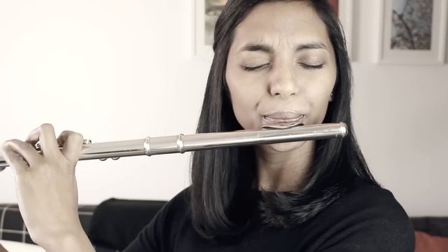 Elastic Heart - Sia Flute Cover смотреть онлайн