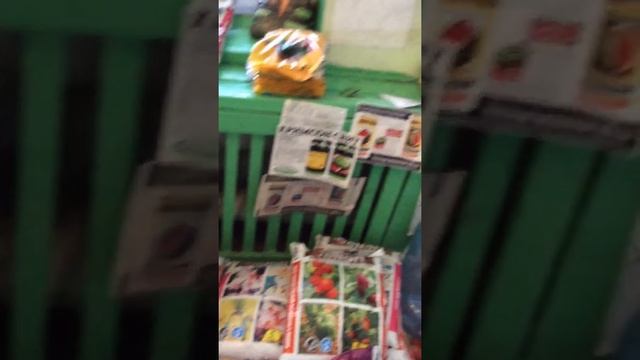 Где купить семена. Недорого в Алматы смотреть онлайн