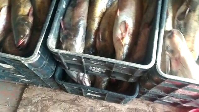 ПУТИНА 22 смотреть онлайн