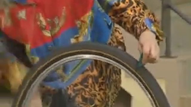 Колебания линейки на шине смотреть онлайн