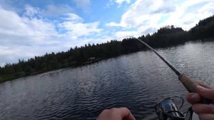 Рыбалка на спиннинг. Пробую блесны из FIX Price