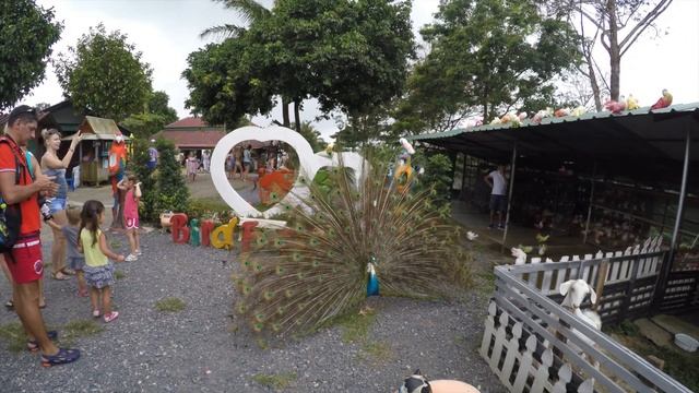 Samui 3 HD 1080p Video Sharing смотреть онлайн