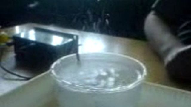 ультразвук смотреть онлайн