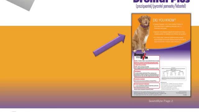 Bayer Animal Health - Drontal Plus SoundByte Video смотреть онлайн