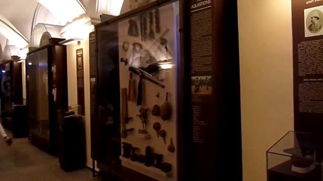 Кунсткамера - просторные холлы Петра Первого и экспонаты ! смотреть онлайн