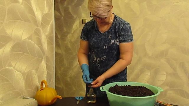 Готовим идеальный грунт для Эустомы.23.01.2020 смотреть онлайн