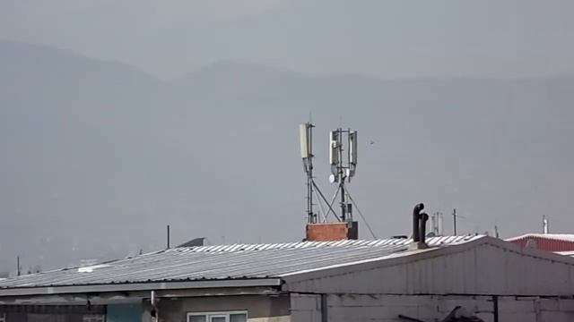 Samsung Wb100 Zoom Testi