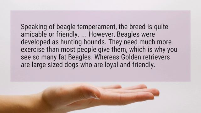 Which is better beagle or golden retriever? смотреть онлайн