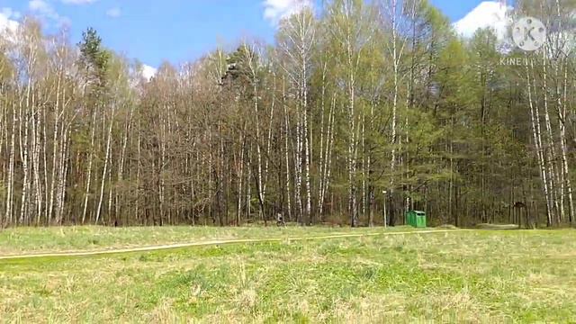 Прогулка в лесу/Разходка в гората/Walk in the forest 05.05.2021 #Лосиныйостров #первоцветы смотреть онлайн
