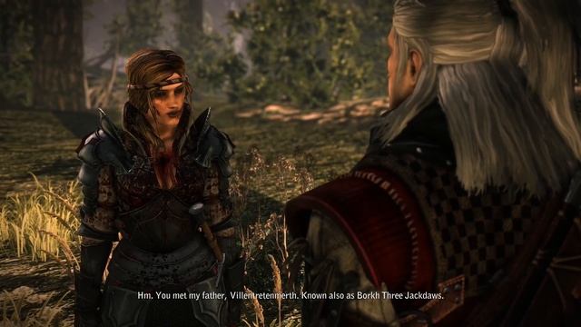 What Are Dragons? - Witcher Lore - Witcher Mythology - Witcher 3 lore - Witcher Monster Lore смотреть онлайн