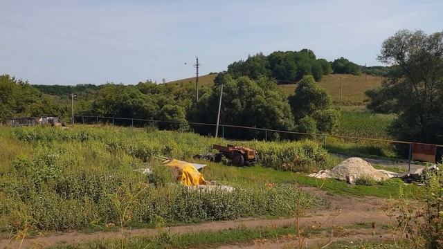 Поздние медоносы Белгородчины. смотреть онлайн