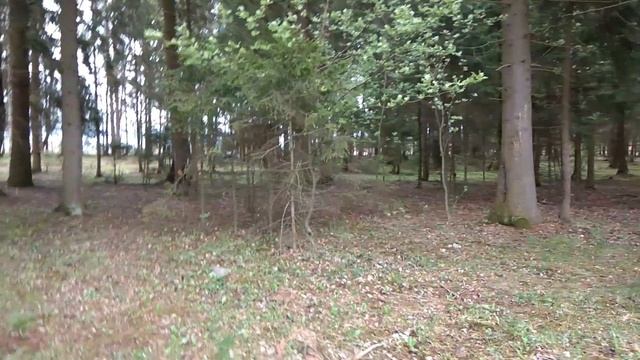 Купить лесной участок по Новорижскому шоссе 0.4 Га, 111 млн.руб Новая рига тел.+7(985)2302329 смотреть онлайн