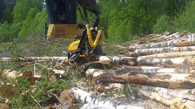 Работа харвестерной головки Ponsse