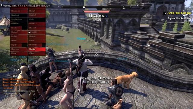 Naked Bridge Party I Stumbled On in Elder Scrolls Online. смотреть онлайн