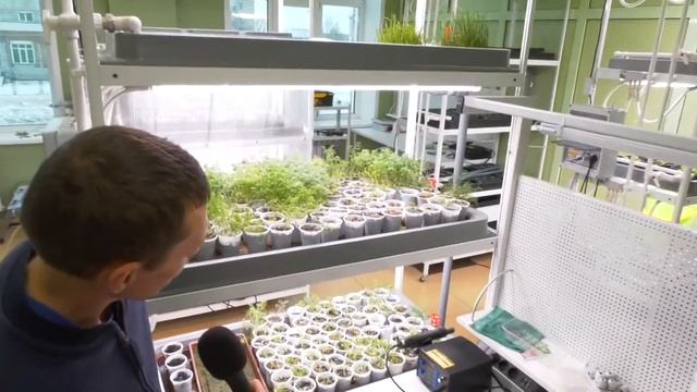 День первокурсника 2022 смотреть онлайн