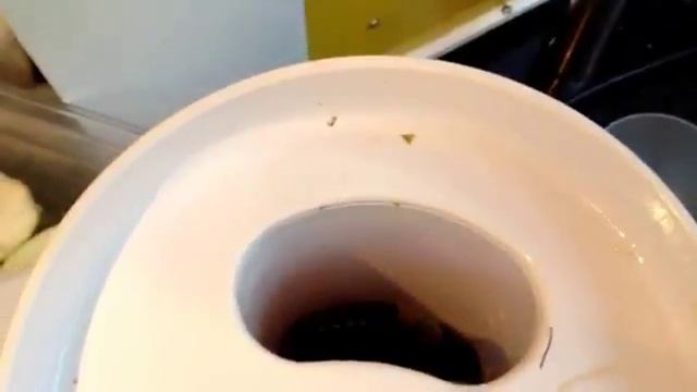 Грушевый сок на шнек. соковыжималке NUC Kuvings ns-993 смотреть онлайн