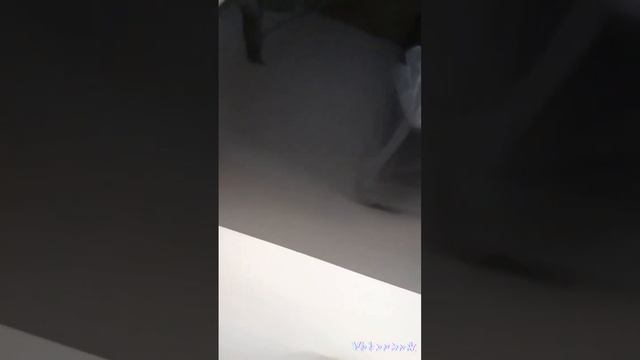 Натяжные потолки Волгоград 89610890022 смотреть онлайн