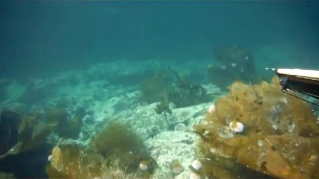 Треска 2 смотреть онлайн