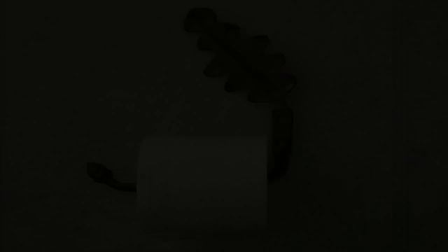 Держатель для туалетной бумаги смотреть онлайн