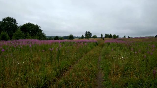 Велоклуб 3x9: География походов 3х9 за 2018 год. Автор Нина Краскова смотреть онлайн