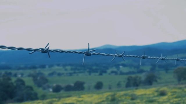 Дело длиной в 50 лет: Библейский Джон и Питер Тобин смотреть онлайн