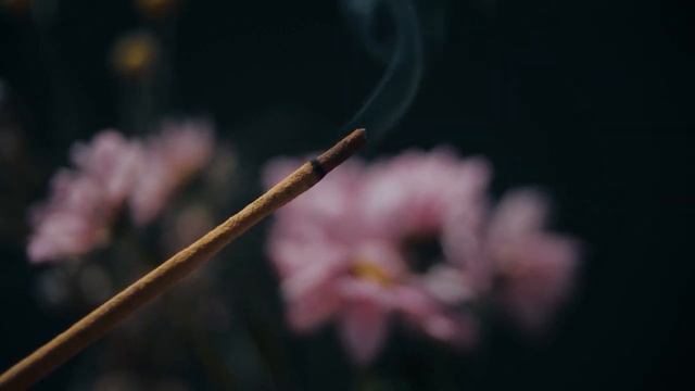 утренняя медитация для женщин смотреть онлайн