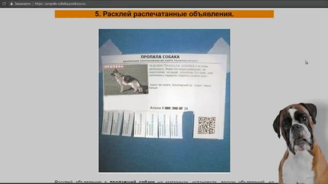 Пропала собака что делать? - Как найти собаку - 11 советов! смотреть онлайн