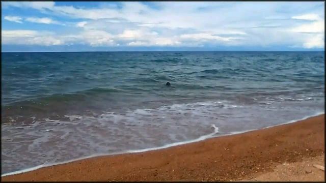 Иссык Куль. Море, берег, пляж, отдых. "Дикий" отдых на пляже Иссык Куль Киргизия. Активный отдых смотреть онлайн