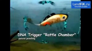 🐳 Набор снастей 🐟 Mighty Bite