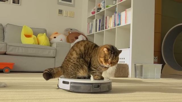 My Robot Vacuum Transformed into a Cat Uber! | Kittisaurus смотреть онлайн