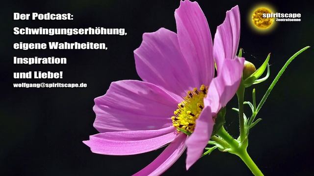 Vertrauen in uns als Mitschöpfer - Erzengel Gabriel Tagesbotschaften – 08.11.2023 + Podcast смотреть онлайн