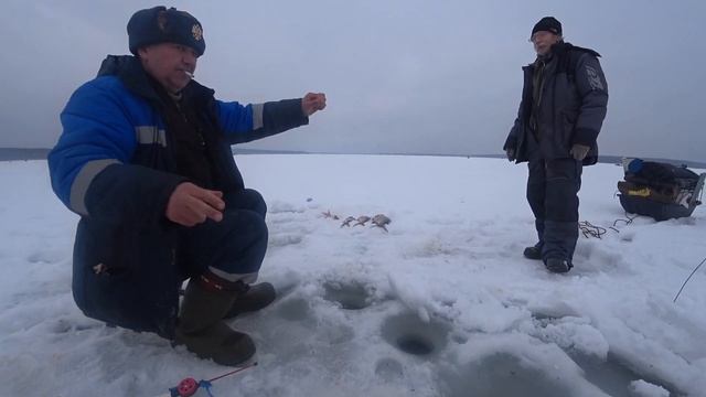 27.02.2022. Белоярка. Лещ. Отчёт. смотреть онлайн