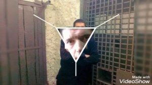 Ночь в законе(Олег Альпийский)