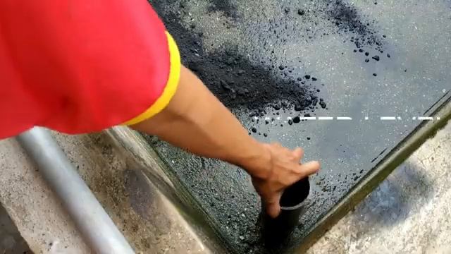 Azolla : Easy Way To Grow Azolla || Short & Details смотреть онлайн