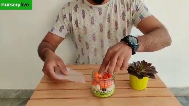 Thingidoforgreen - Things nurserylive does for green! | nurserylive смотреть онлайн