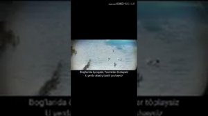 Арабский песни джанат, джанат .2020