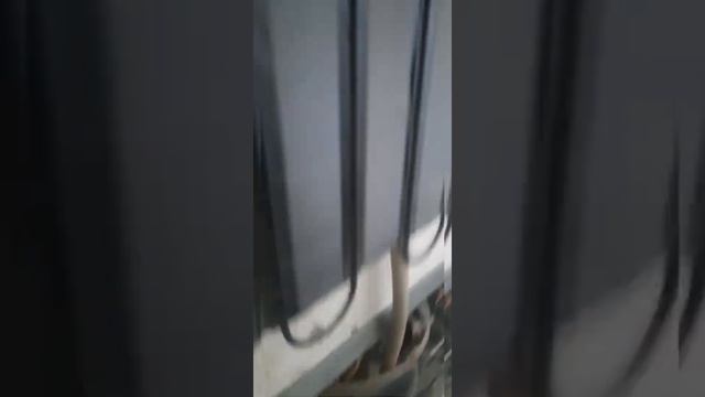 Чистка#обслуживание#уход за холодильником#дома#что нужно знать при разморозке#Indesit холодильник смотреть онлайн