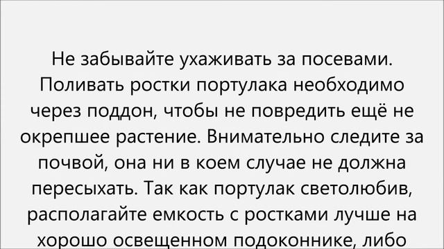 Как вырастить портулак смотреть онлайн