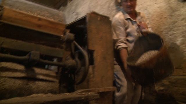 Дни Жатвы смотреть онлайн