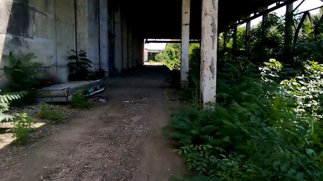 Гон холодильщиков 6 смотреть онлайн