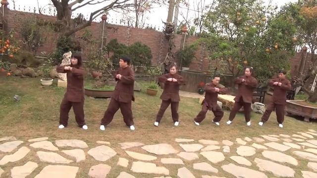 Оздоровительная гимнастика цигун. Видео уроки от мастера цигун Чан Ким Канга смотреть онлайн